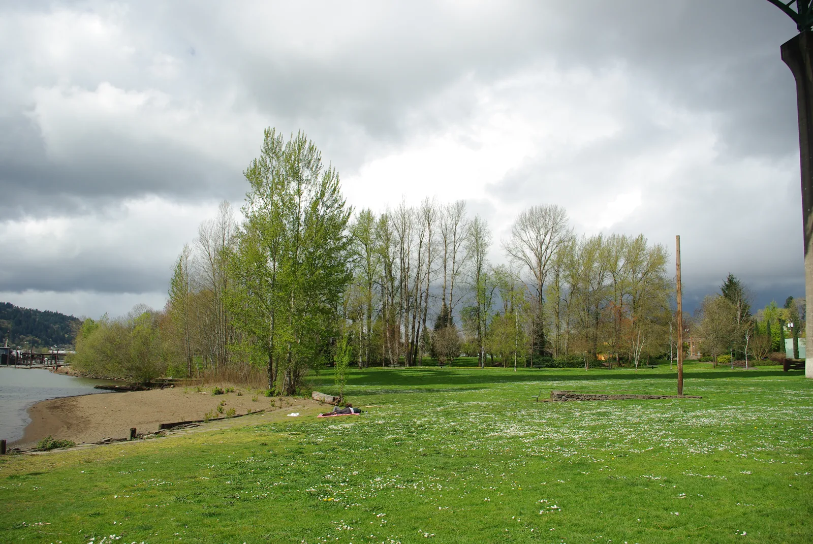 Riverside lawn and trees at Cathedral Park, Portland