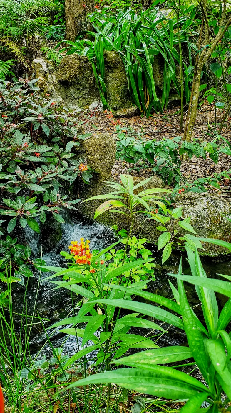 Planted beds beside a pool at Cedar Lakes Woods and Gardens