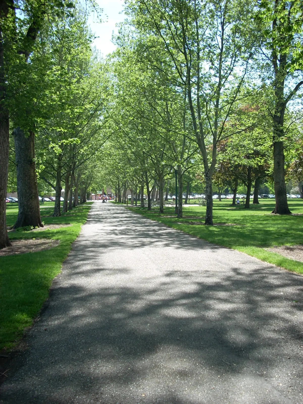 A tree-lined path through Julia Davis Park, Boise