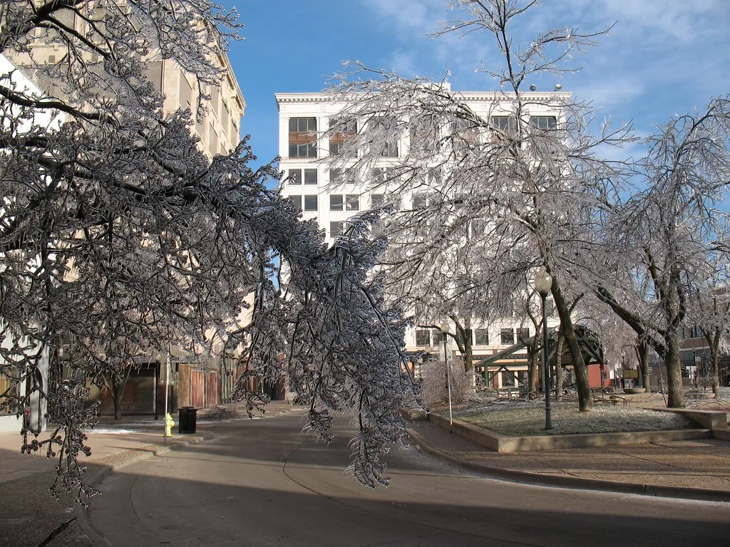 Ice-coated trees on Park Central Square in downtown Springfield